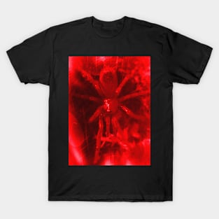 Tarantula Spiderling V9 T-Shirt